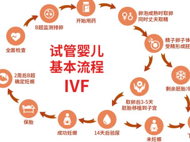 两岁三代供卵试管婴儿宝宝喝什么奶好